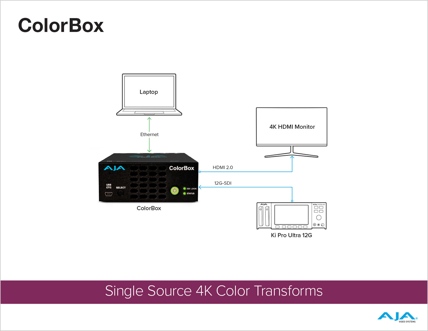 4K 制作ワークフロー、デイリールックのプレイバック