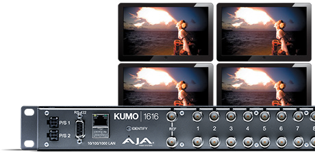 2700 2353 kumo 1616 cameo02