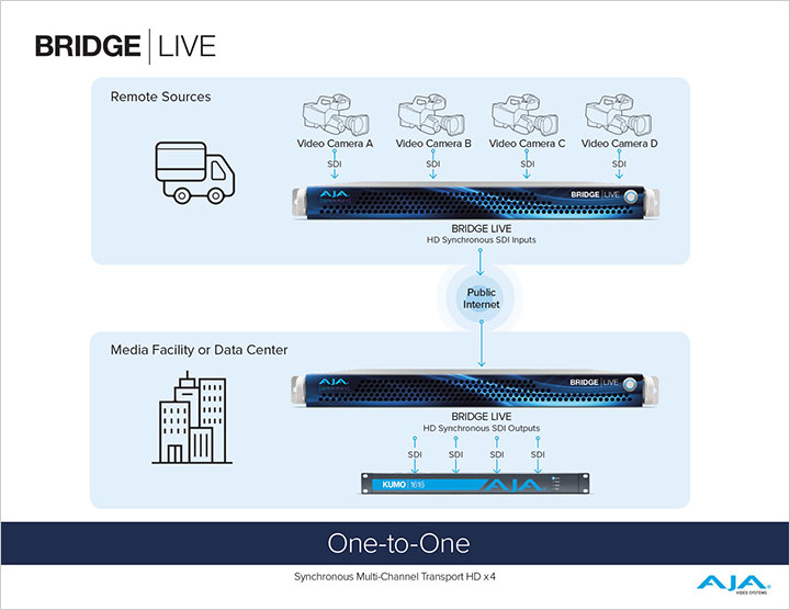 5628 AJA BRIDGE LIVE One to One sm