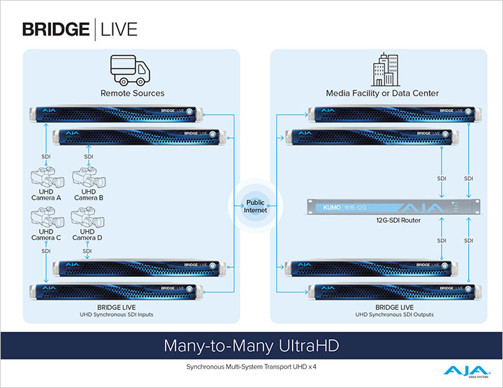 5633 AJA BRIDGE LIVE Many to Many UHD sm