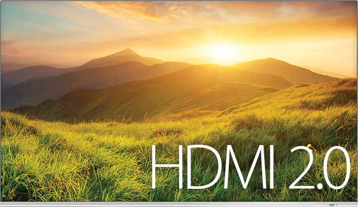2493-HDR HDMI2 monitor