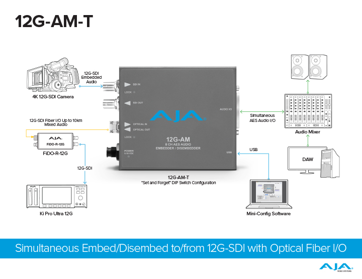 5176 AJA 12G AM T Diagram FIN sm