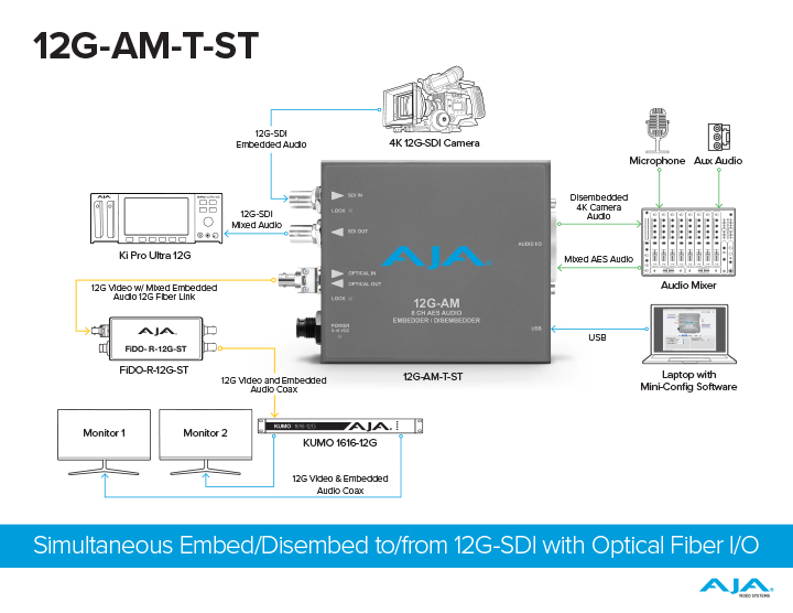 5181 AJA 12G AM T ST Diagram FIN sm